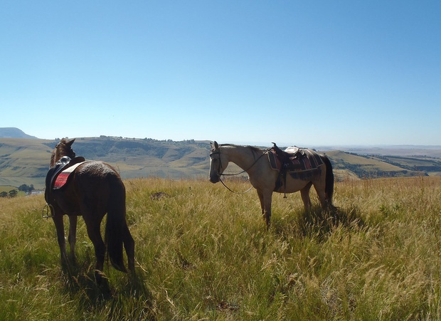Horse Riding in Central Drakensberg